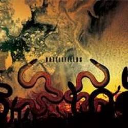 Stained with the Blood of an Empire